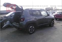 جيب رينيجيد